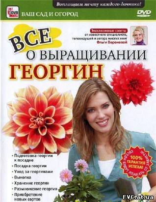Всё о выращивании георгин Всё о выращивании георгин